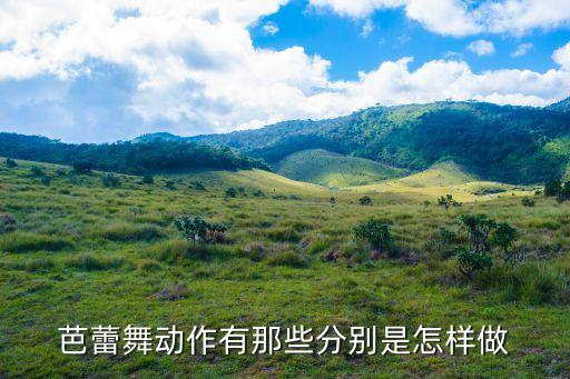 芭蕾舞动作有那些分别是怎样做