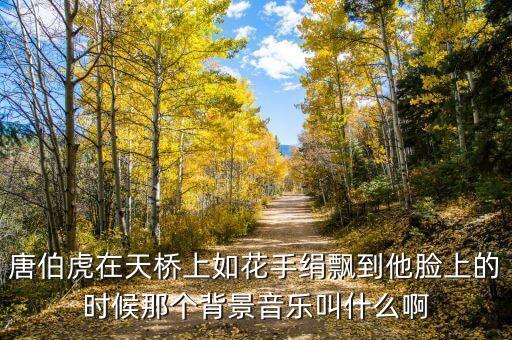 唐伯虎在天桥上如花手绢飘到他脸上的时候那个背景音乐叫什么啊