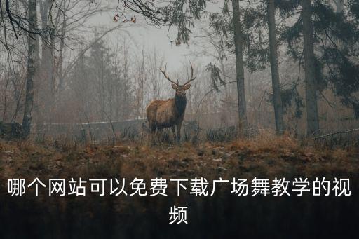 什么网站能下载广场舞视频，哪里可以下载到广场舞蹈高清视频