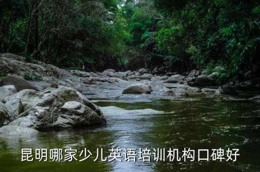 昆明哪家少儿英语培训机构口碑好