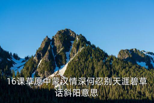 16课草原中蒙汉情深何忍别天涯碧草话斜阳意思