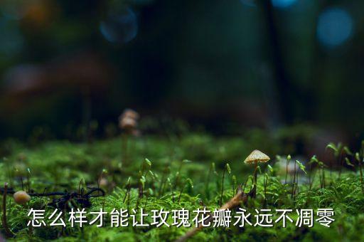 怎么样才能让玫瑰花瓣永远不凋零