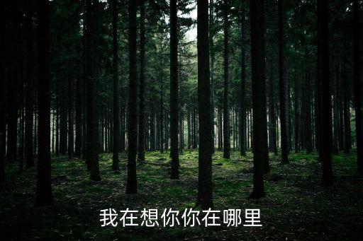 我在想你你在哪里