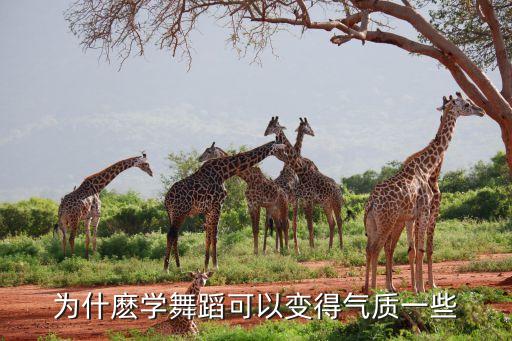 舞蹈改变了我们什么，为什麽学舞蹈可以变得气质一些