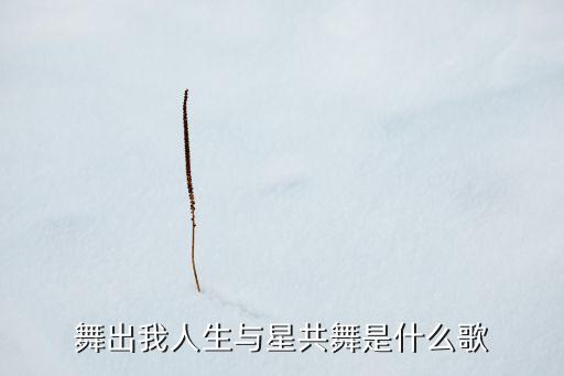广场舞带给我们的是什么歌，舞出我人生与星共舞是什么歌