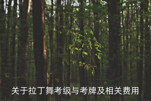 考级和考牌有什么不同，拉丁舞的考级证和考牌证有什么区chrainbowwtysearch1