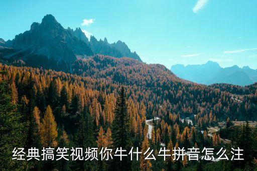 经典搞笑视频你牛什么牛拼音怎么注