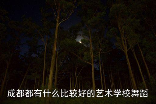 成都舞蹈艺术学校排名榜，四川较专业的舞蹈学校有哪西