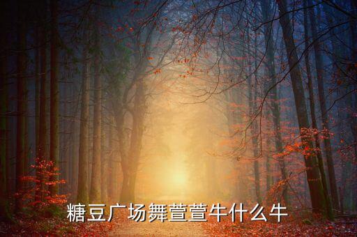 糖豆广场舞萱萱牛什么牛
