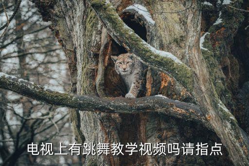 电视上有跳舞教学视频吗请指点