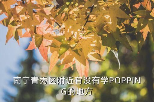 南宁青秀区哪里有舞蹈队，广西南宁青秀区这边有哪里教街舞的