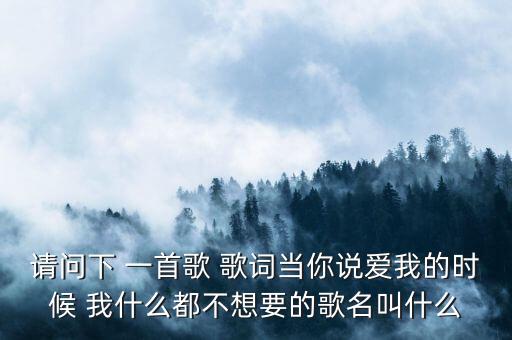 请问下 一首歌 歌词当你说爱我的时候 我什么都不想要的歌名叫什么