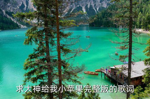 求大神给我小苹果完整版的歌词