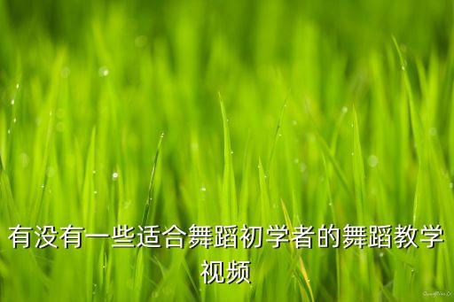 有没有一些适合舞蹈初学者的舞蹈教学视频