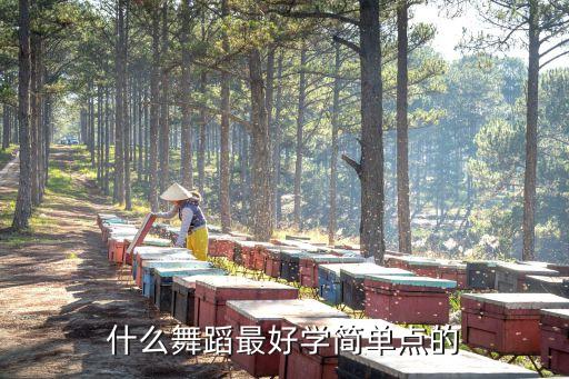 什么舞蹈最好学简单点的