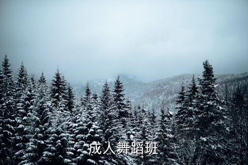 成人舞蹈班