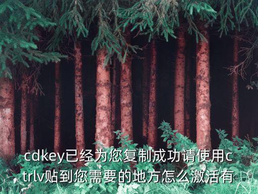 cdkey已经为您复制成功请使用ctrlv贴到您需要的地方怎么激活有