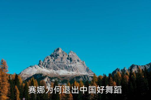 赛娜为何退出中国好舞蹈