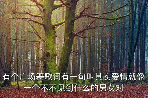 广场舞歌曲什么情歌对唱，有没有好听的情歌对唱啊要欢快的