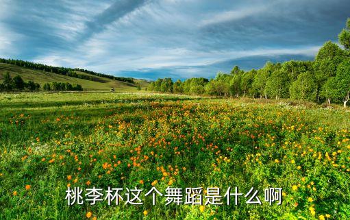 桃李杯这个舞蹈是什么啊