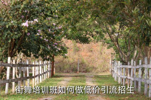 街舞培训班如何做低价引流招生