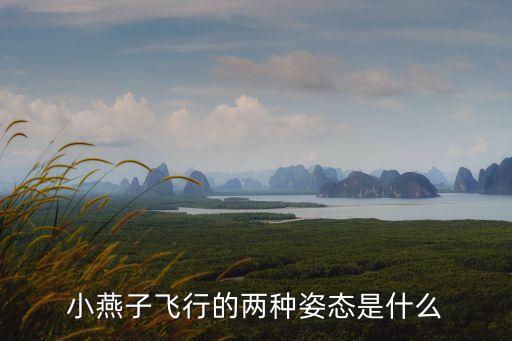 燕子飞行的两种姿势是什么，燕子飞行的方式
