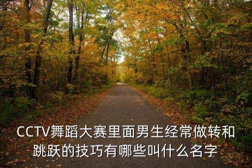 CCTV舞蹈大赛里面男生经常做转和跳跃的技巧有哪些叫什么名字