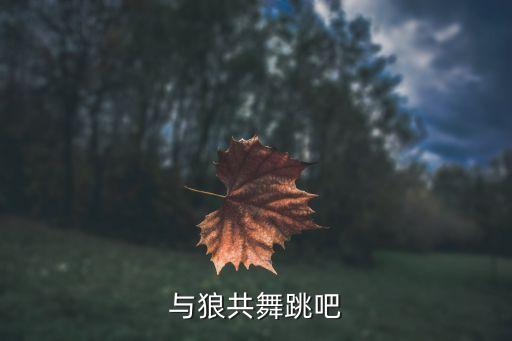 与狼共舞跳吧