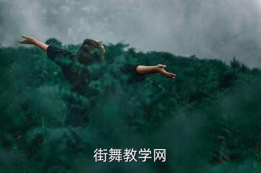 街舞教学网
