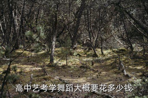 高中艺考舞蹈三年花费多少钱，高中艺术班3年学费多少