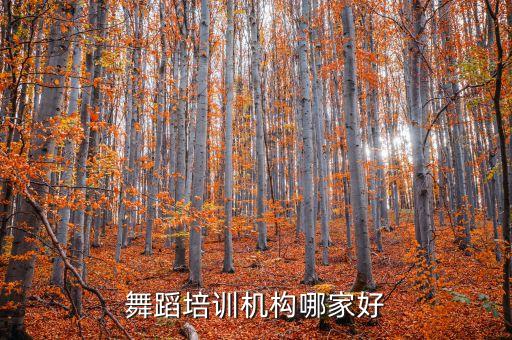 舞蹈培训机构哪家好