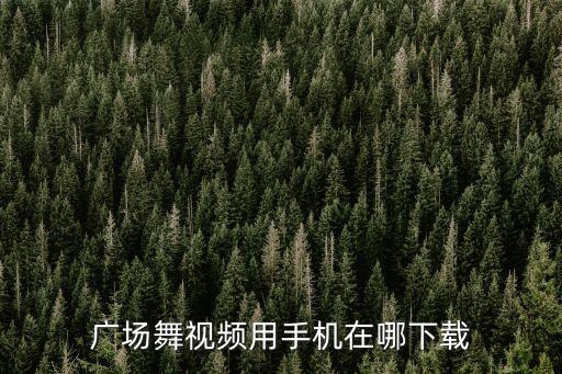 广场舞视频用手机在哪下载