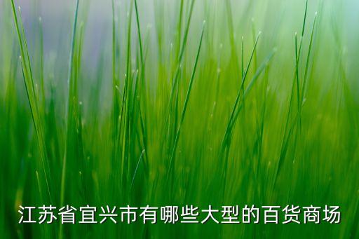 江苏省宜兴市有哪些大型的百货商场