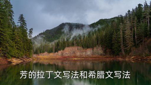 拉丁张什么芳，新乡市教得好的拉丁舞是哪一家