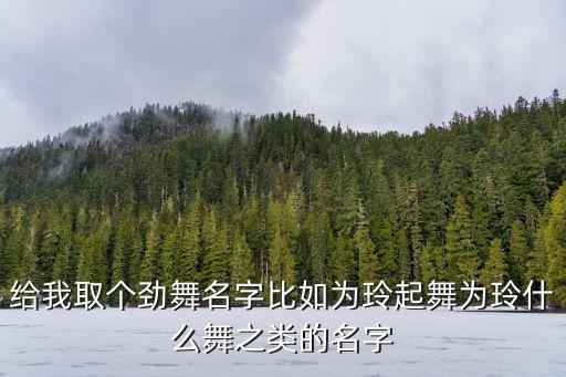 给我取个劲舞名字比如为玲起舞为玲什么舞之类的名字