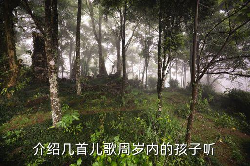 01岁婴儿儿歌连续播放，适合一岁小孩听的有益的好听的儿歌