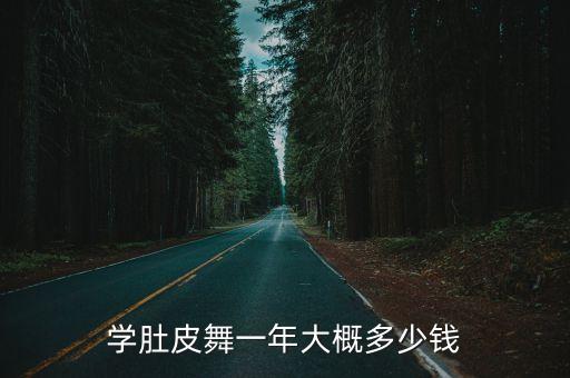 学肚皮舞一年大概多少钱