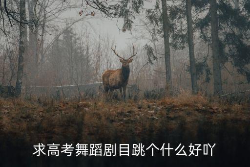 求高考舞蹈剧目跳个什么好吖