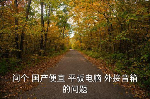 问个 国产便宜 平板电脑 外接音箱的问题