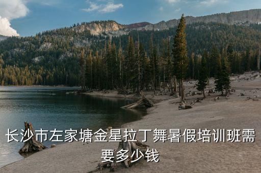 长沙市左家塘金星拉丁舞暑假培训班需要多少钱