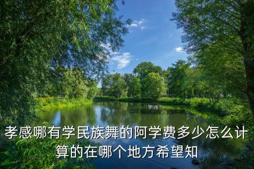 孝感哪有学民族舞的阿学费多少怎么计算的在哪个地方希望知