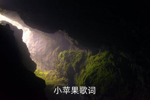 小儿歌小苹果歌词，小苹果的歌词