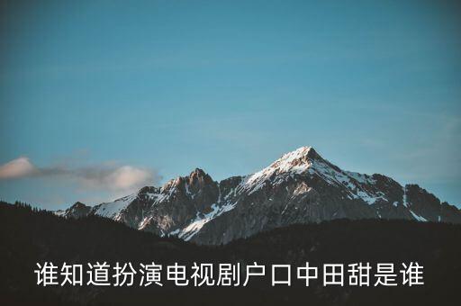 谁知道扮演电视剧户口中田甜是谁