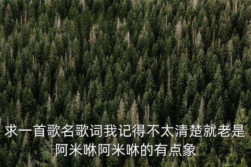 求一首歌名歌词我记得不太清楚就老是阿米咻阿米咻的有点象