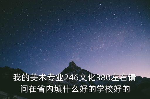 美术类380分的学校，我的美术专业246文化380左右请问在省内填什么好的学校好的