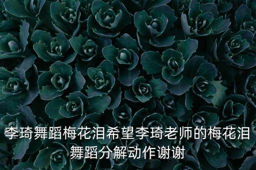 李琦舞蹈梅花泪希望李琦老师的梅花泪舞蹈分解动作谢谢