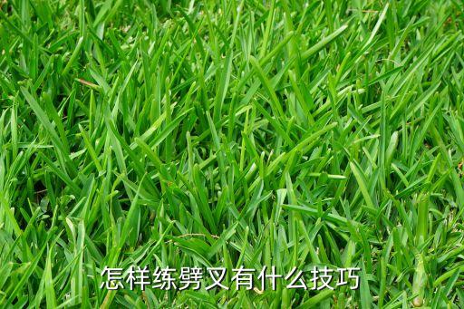 怎样练劈叉有什么技巧