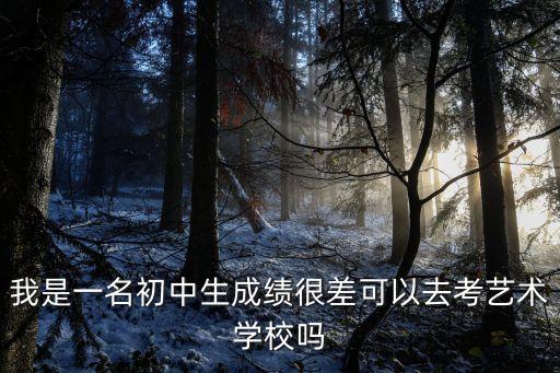 我是一名初中生成绩很差可以去考艺术学校吗