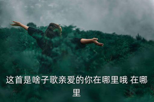 青爱的你在哪里广场舞mp3，求亲爱的你在哪里的原唱