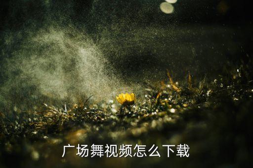 广场舞蹈视频在哪里下载，广场舞视频怎么下载